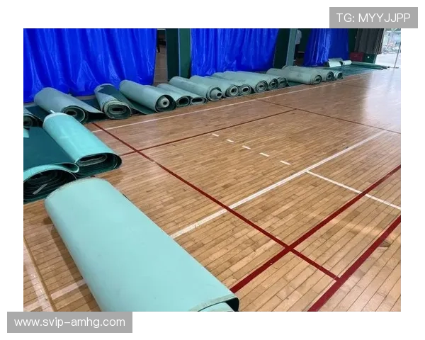 回力球场平面图在场馆改造中的关键作用与设计优化建议