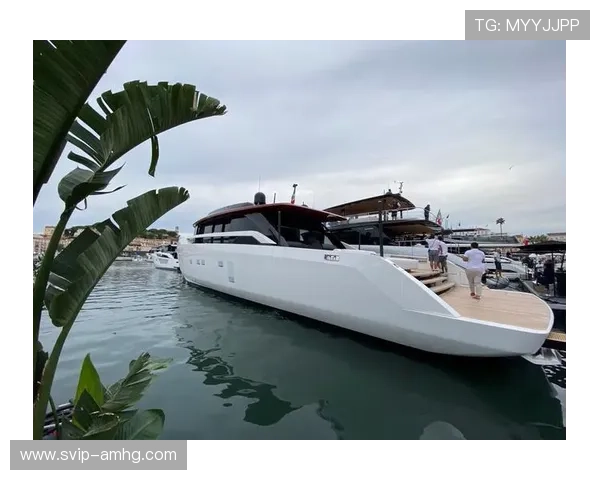 游艇会娱乐场：打造集休闲、社交与娱乐于一体的奢华场所体验