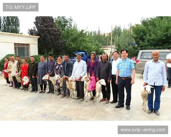成为威斯尼斯人会员后可以享受哪些独家优惠和优先服务